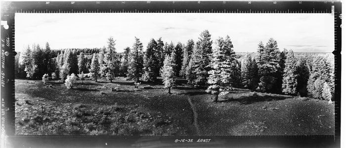 Osborne Image, North View